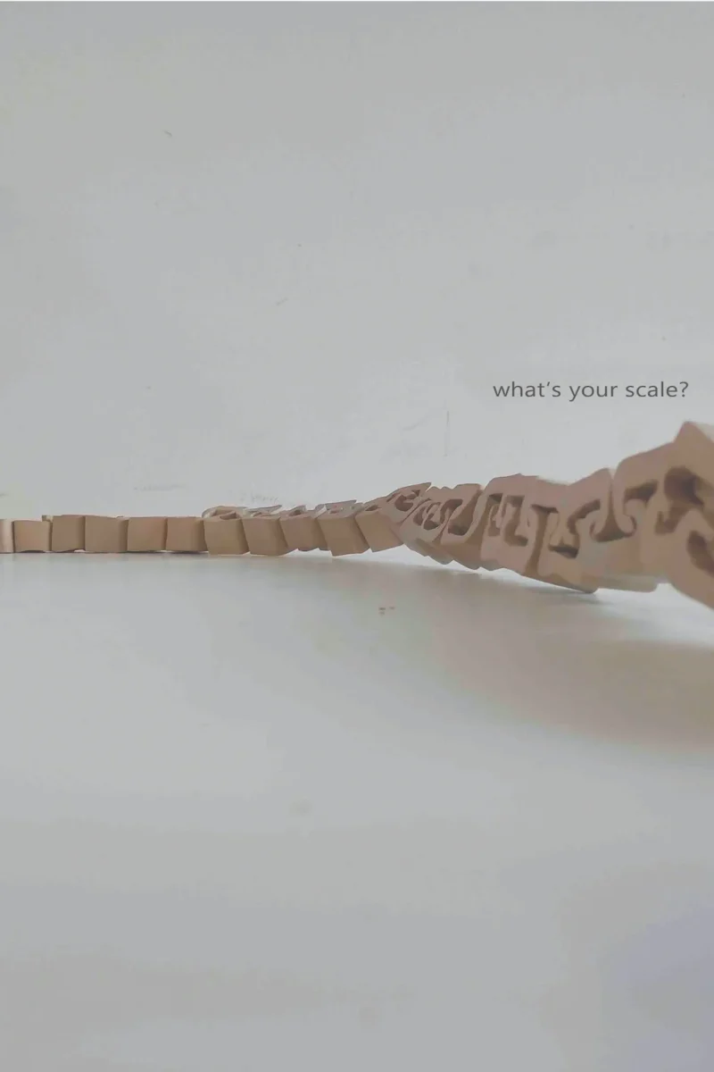 2-1The scale of chaos-NOYA The scale of chaos-NOYA