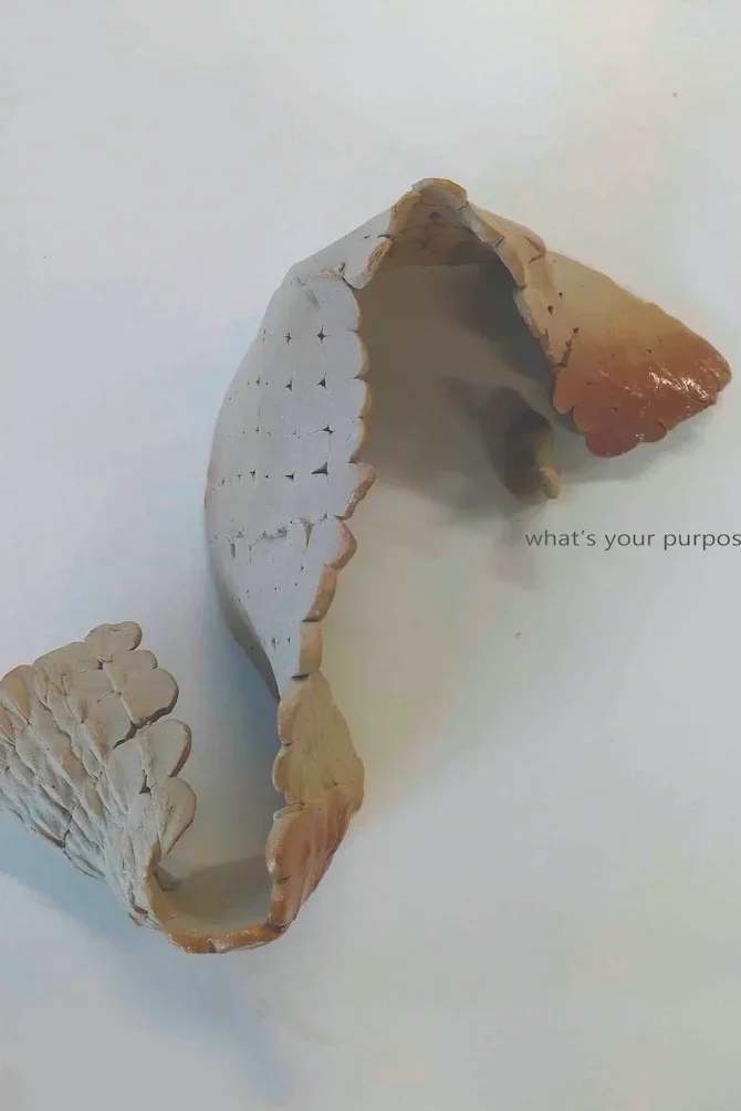 2-2The scale of chaos-NOYA The scale of chaos-NOYA